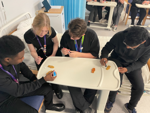 Health and Social Care learners icing gingerbread pressure points