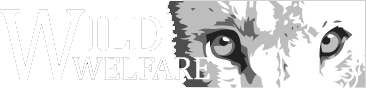 wild warefare logo